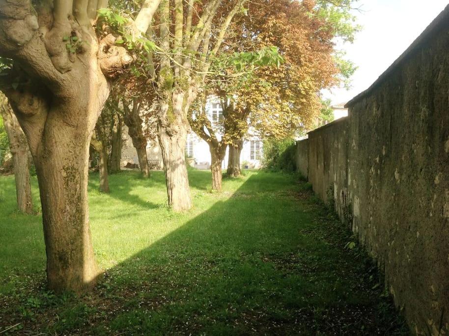 Ancien Presbytere Au Coeur Du Village Mauvezin  Eksteriør billede